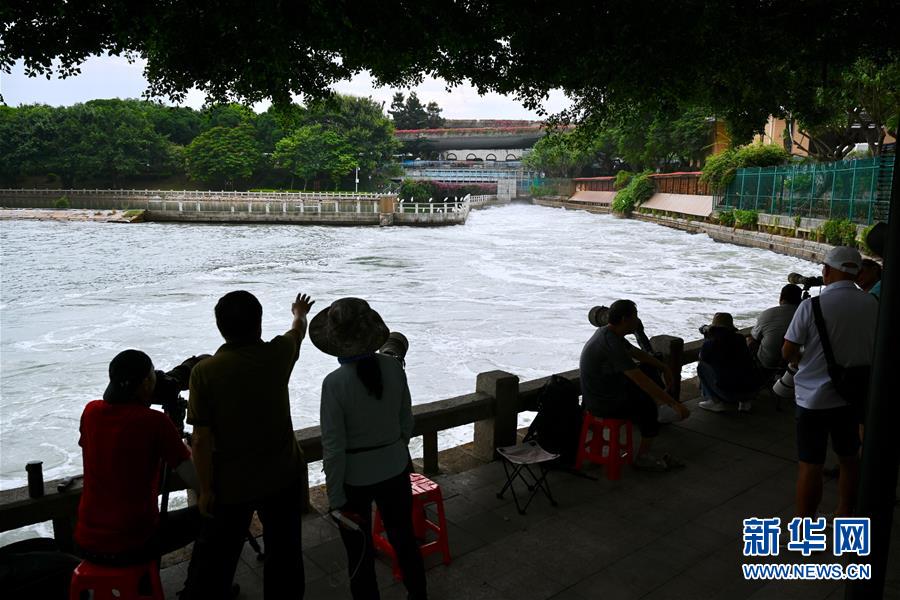 （特區(qū)40年&middot;圖文互動(dòng)）（2）高顏值的生態(tài)花園之城&mdash;&mdash;廈門生態(tài)建設(shè)觀察
