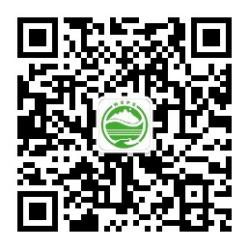 圖片5
